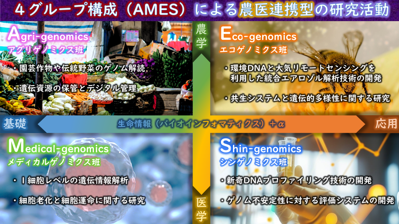 AMES