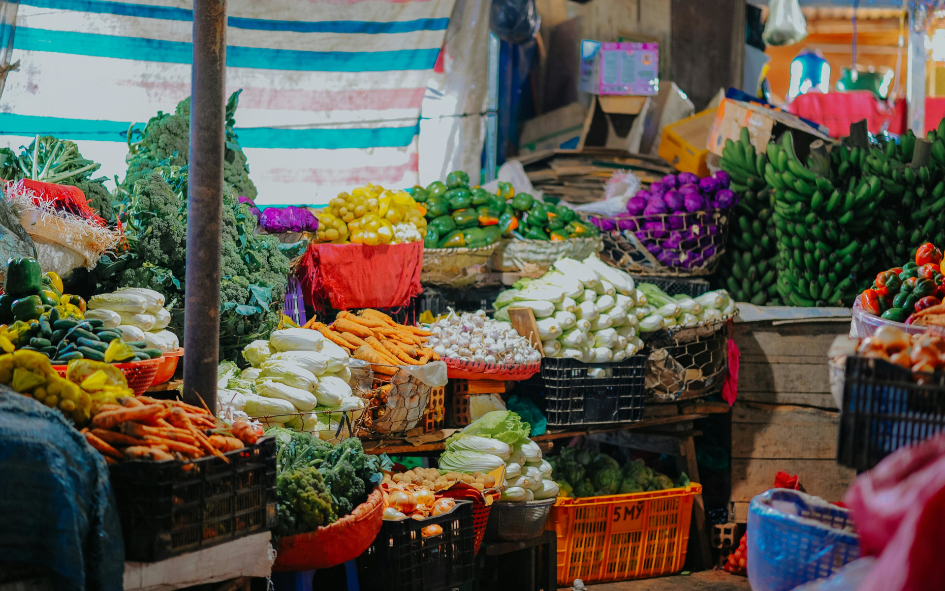 agrigenomics