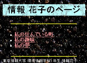 X^CV[g̎gp(2)